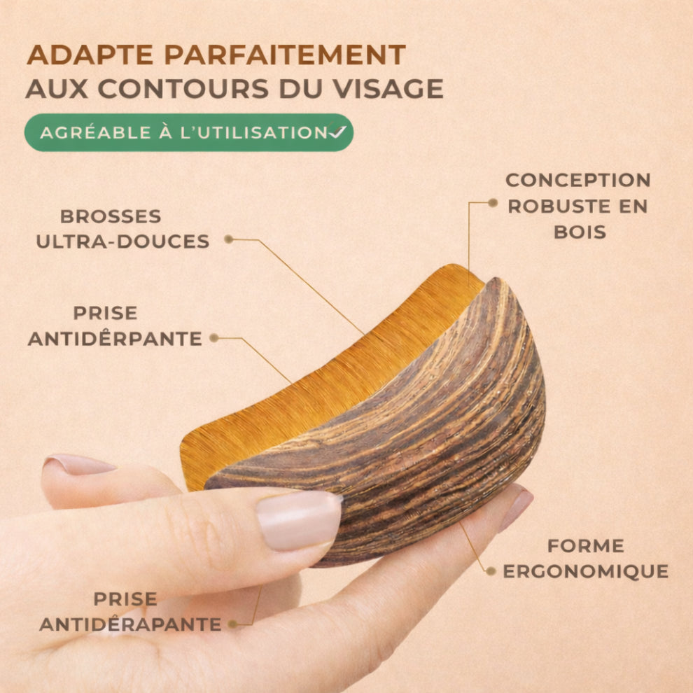 Brosse de Massage Lymphatique